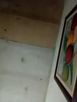 Alonsomadeira online show from April 2, 2026, 8:23 am