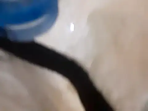 pedrodavid  online show from March 14, 2025, 12:10 am