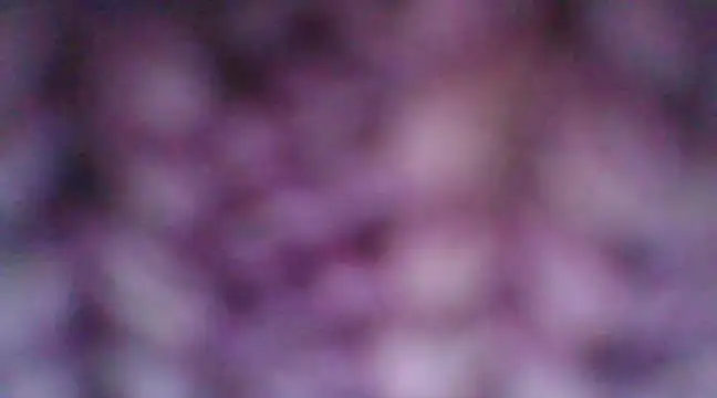 Snapshot of mia_cooper_24 chatting on December 30, 2024, 7:00 pm mia cooper 24 online show from December 30, 2024, 7:00 pm