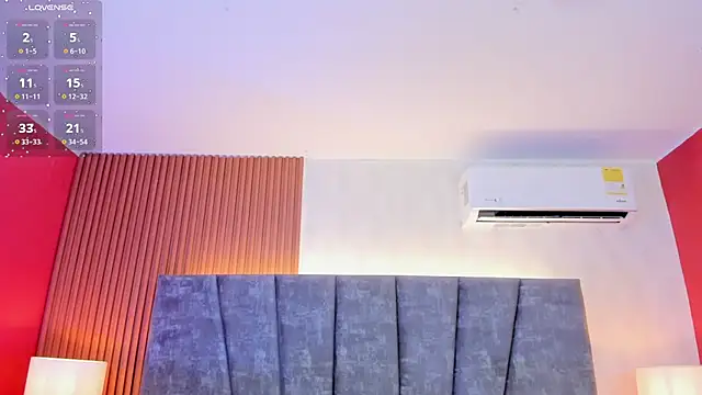 Snapshot of Ada__lee_ chatting on February 3, 2026, 2:53 am Ada lee online show from February 3, 2026, 2:53 am