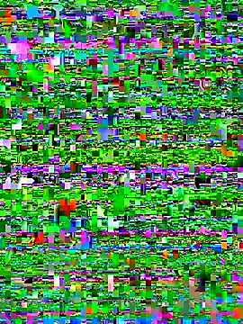 bad-boy-2002 online show from October 5, 2025, 2:37 pm