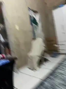 HenriqueH3 online show from March 2, 2026, 4:14 pm