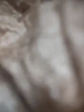 VL25DN26 online show from March 9, 2026, 1:59 pm