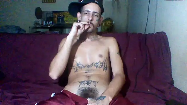 sellvageria online show from February 13, 2026, 8:38 pm