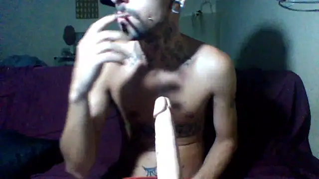 sellvageria online show from February 19, 2026, 6:42 am