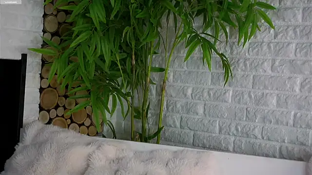 LowOncoming online show from March 25, 2026, 1:55 am