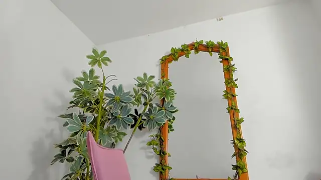 BonnieCute  online show from February 25, 2026, 11:36 pm