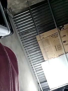 Dina wet online show from December 3, 2024, 10:39 am