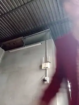 Dina wet online show from December 5, 2024, 12:08 am