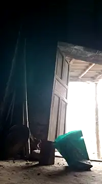 Dina wet online show from December 8, 2024, 8:20 am