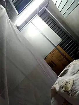 Dina wet online show from December 18, 2024, 12:43 am