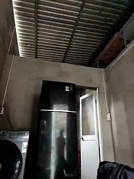 Dina wet online show from December 25, 2024, 3:50 am