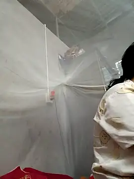 Dina wet online show from January 3, 2025, 11:35 am