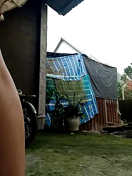 Dina wet online show from January 7, 2025, 12:34 am