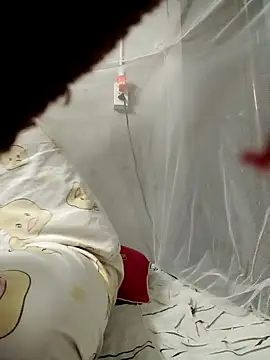 Dina wet online show from January 16, 2025, 1:37 am