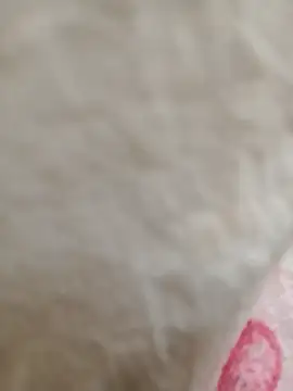 Dina wet online show from January 21, 2025, 2:43 am