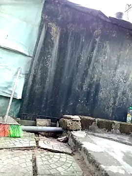 Dina wet online show from January 24, 2025, 2:07 am