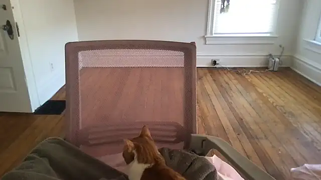 loveofbea online show from March 4, 2026, 10:05 pm