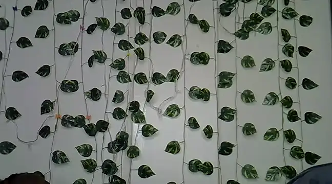 sexybree  online show from January 23, 2025, 5:10 pm