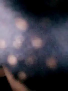 Snapshot of Hotpussy3ox chatting on September 18, 2025, 8:05 am Hotpussy3ox online show from September 18, 2025, 8:05 am