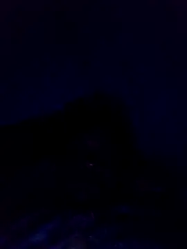 Snapshot of dotado20robson chatting on April 22, 2026, 3:31 am dotado20robson online show from April 22, 2026, 3:31 am