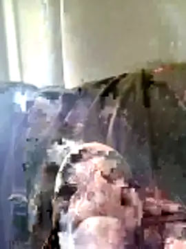 Snapshot of Pineapple04 chatting on March 26, 2026, 6:19 am Pineapple04 online show from March 26, 2026, 6:19 am