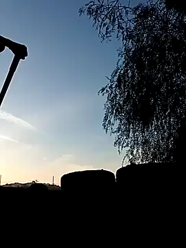 luke thighwalker2469 online show from December 31, 2024, 12:11 am