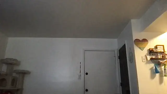 SpunCandy online show from January 17, 2026, 3:17 pm