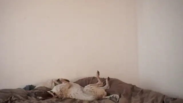 Snapshot of Stephany_talks chatting on March 19, 2025, 11:57 pm Stephany talks online show from March 19, 2025, 11:57 pm