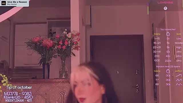 Virtual Wafu online show from November 2, 2025, 12:18 pm