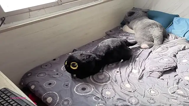 Big19Asia online show from September 18, 2025, 1:18 am