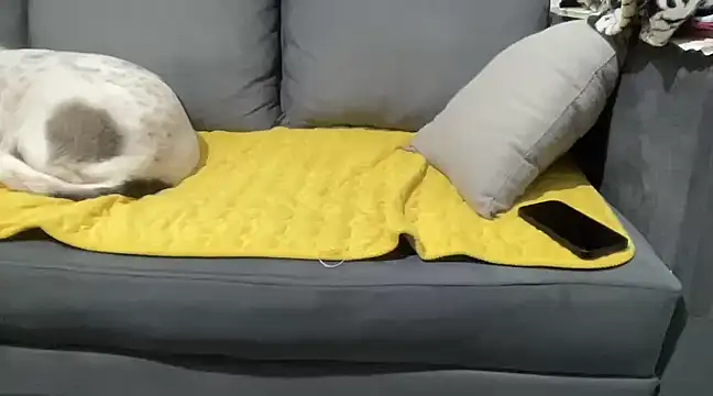 4small4inchlol online show from January 28, 2025, 10:12 pm