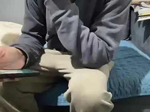 4small4inchlol online show from February 21, 2025, 10:28 am