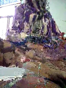 FeltedEuropium online show from December 18, 2025, 8:09 am