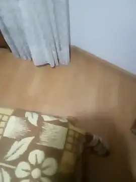 rush6983 online show from November 6, 2025, 1:28 am