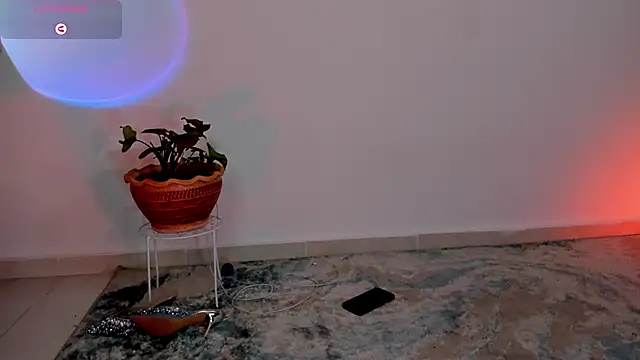 wendymoah online show from January 8, 2025, 6:09 am