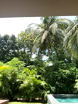 Snapshot of Olivia_Collins1 chatting on September 16, 2025, 4:52 pm Olivia Collins1 online show from September 16, 2025, 4:52 pm