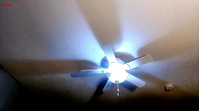 VanceFontaine online show from March 29, 2026, 4:23 am