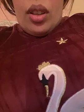 Snapshot of Samarr_9and chatting on December 20, 2024, 11:10 am Samarr 9and online show from December 20, 2024, 11:10 am