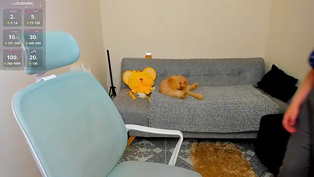 Sofiskies online show from June 5, 2026, 1:01 am