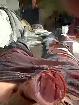 Snapshot of Andy-370 chatting on September 21, 2025, 11:56 am Andy-370 online show from September 21, 2025, 11:56 am