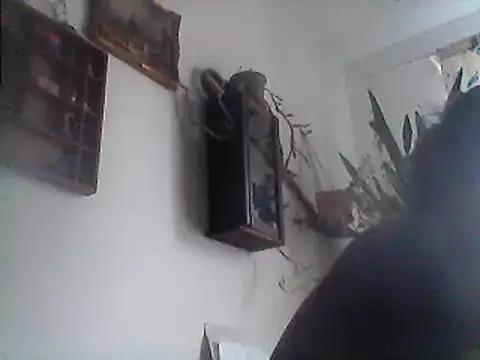 Snapshot of Bigpenis6y chatting on December 29, 2024, 1:17 pm Bigpenis6y online show from December 29, 2024, 1:17 pm