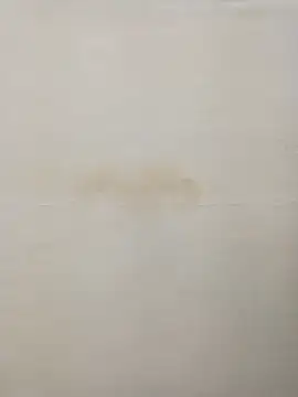 Snapshot of Rina777o chatting on December 30, 2024, 8:36 pm Rina777o online show from December 30, 2024, 8:36 pm