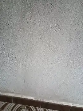 El baby12 online show from September 24, 2025, 4:21 pm