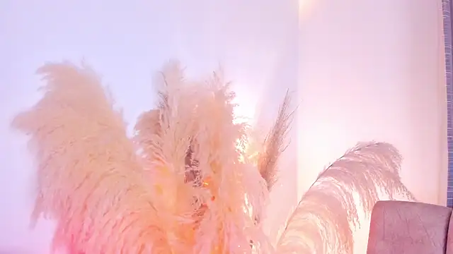 amelie murphy  online show from December 15, 2024, 2:52 am