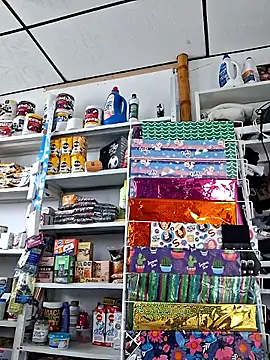 Katia sweetx online show from November 24, 2025, 2:28 pm