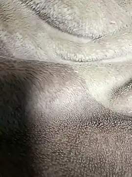 AssamSilchar93 online show from January 20, 2025, 5:27 pm