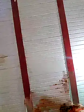 Zaralu  online show from October 8, 2025, 7:00 pm