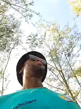 bull Giant online show from December 21, 2024, 2:37 pm