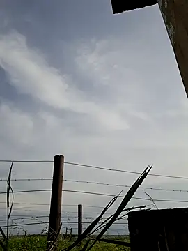 bull Giant online show from December 22, 2024, 2:49 pm